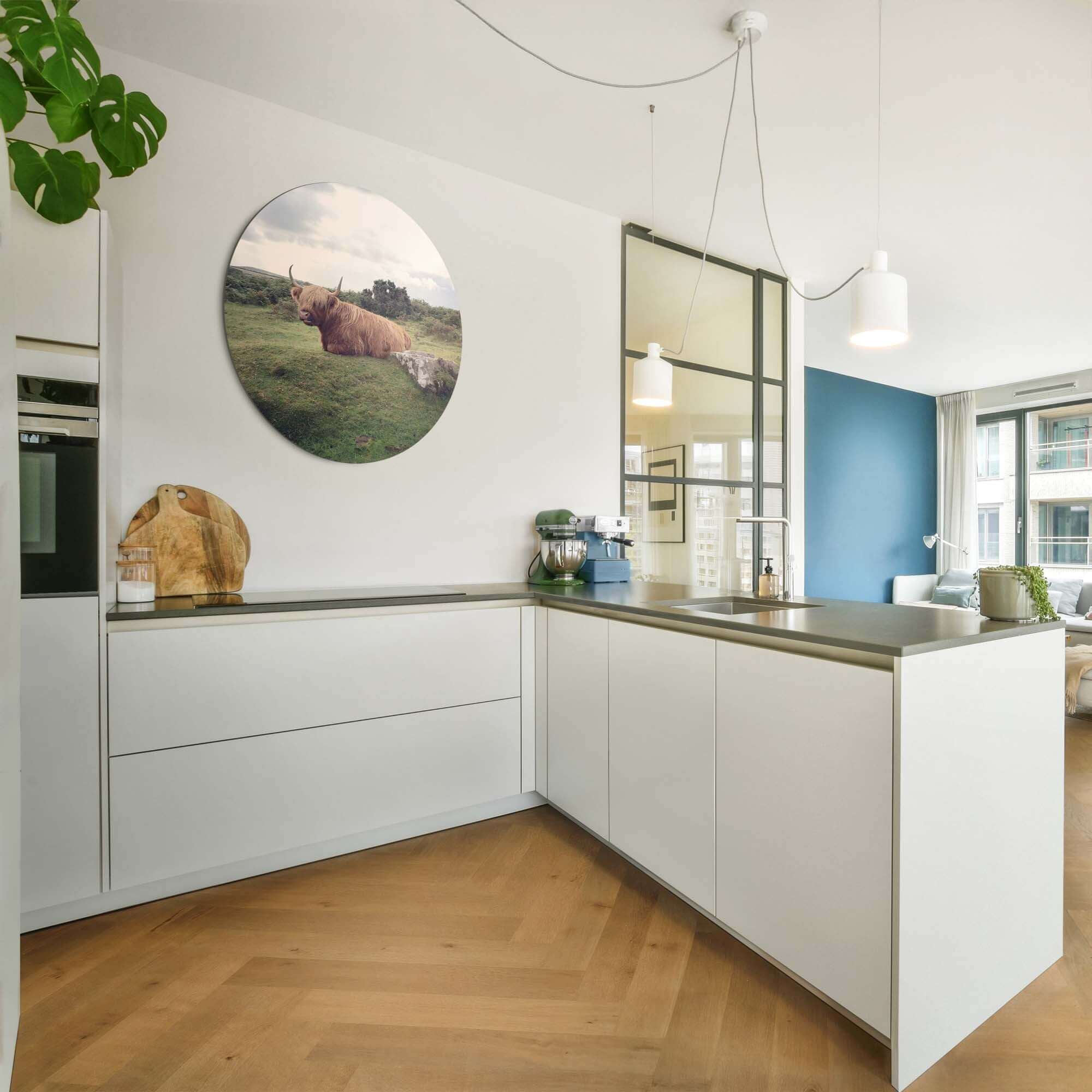 Rustige Hooglander in de natuur – Muurcirkel