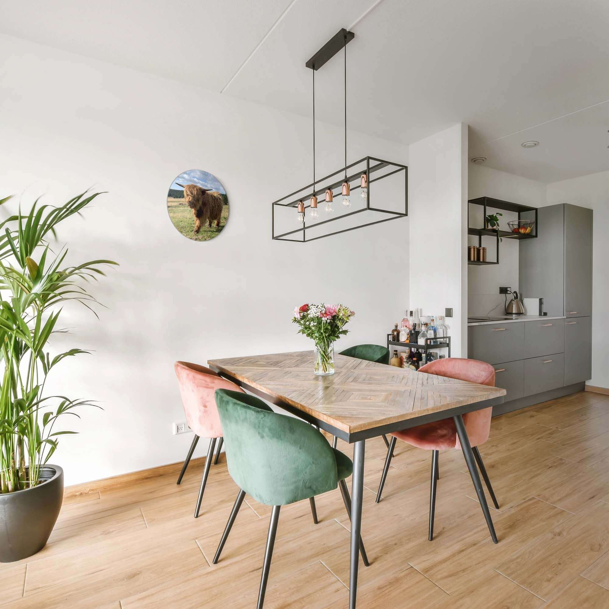 Hooglander in het zonlicht – Muurcirkel