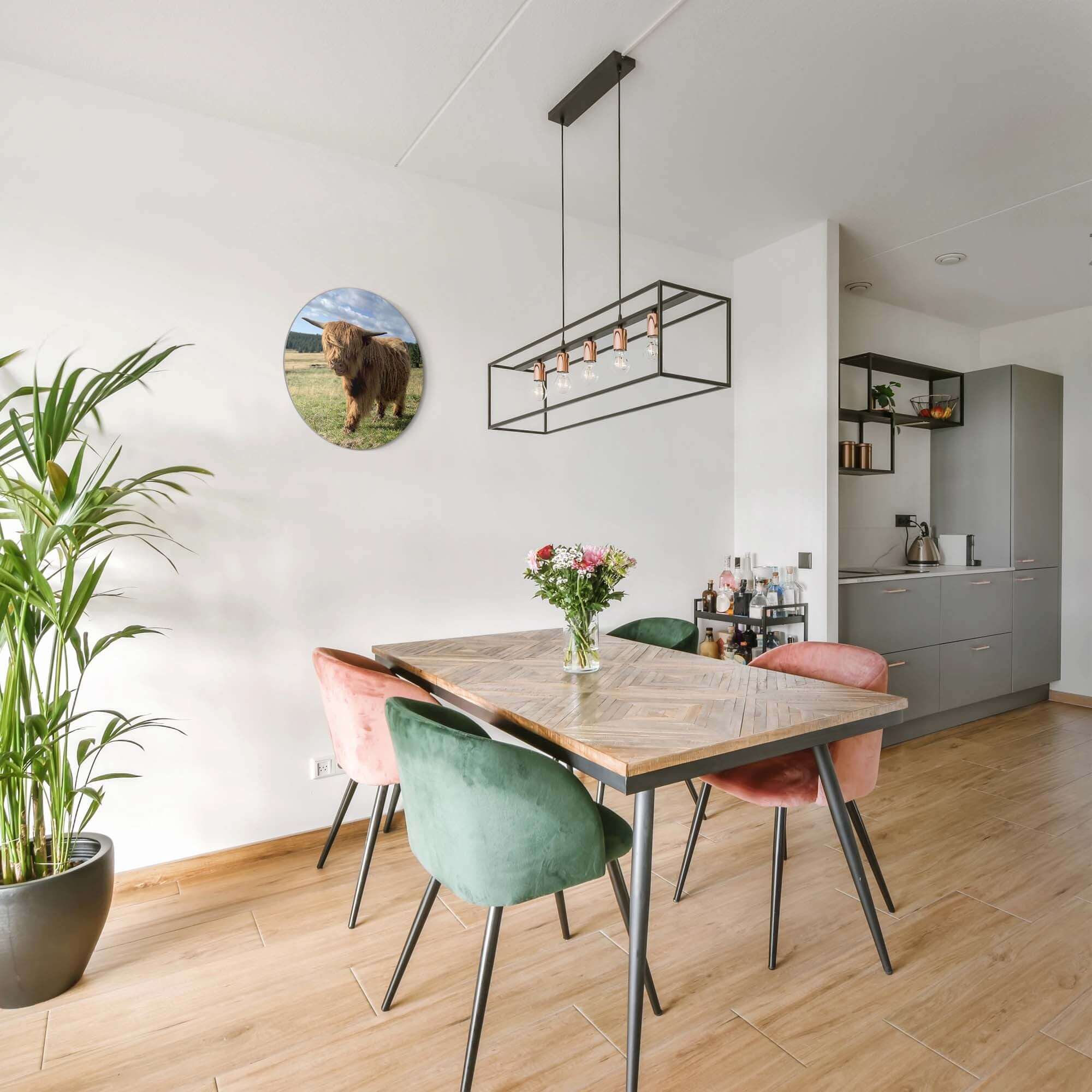 Hooglander in het zonlicht – Muurcirkel