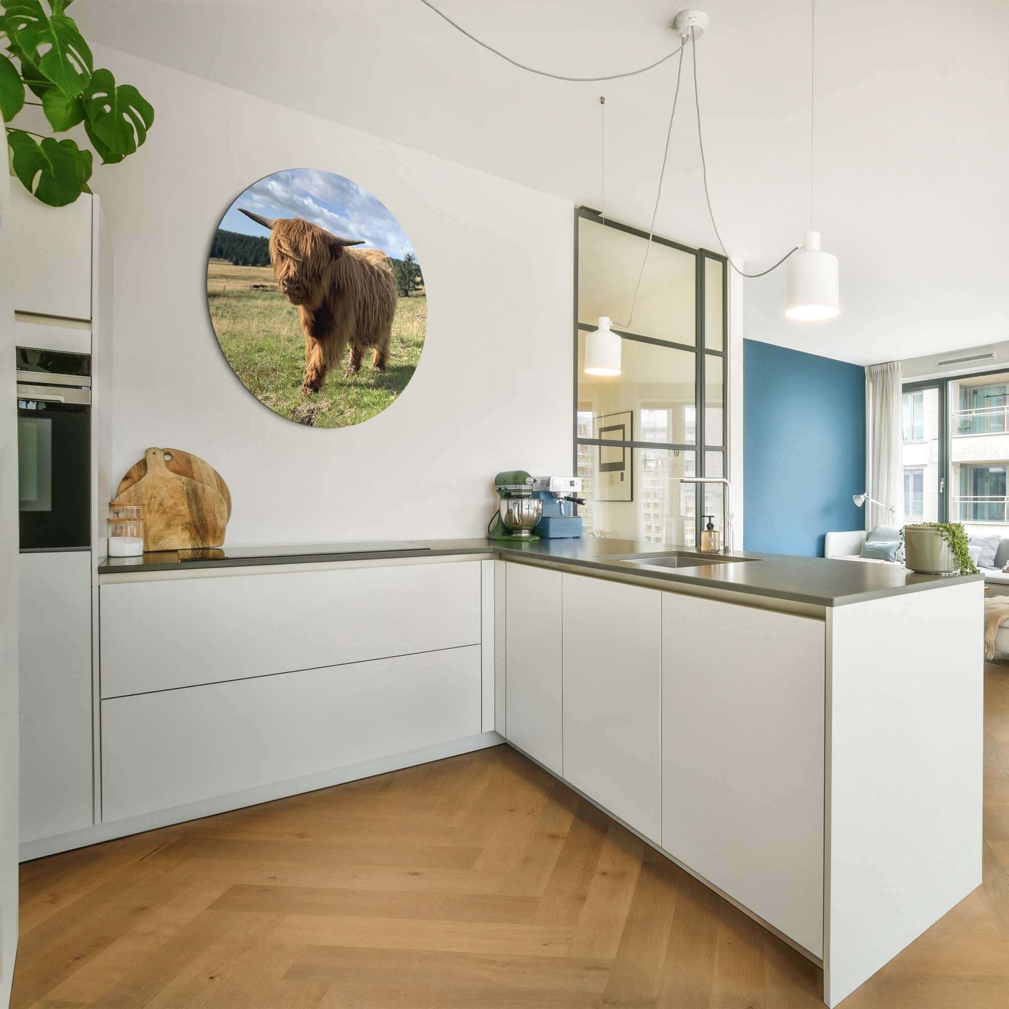 Hooglander in het zonlicht – Muurcirkel