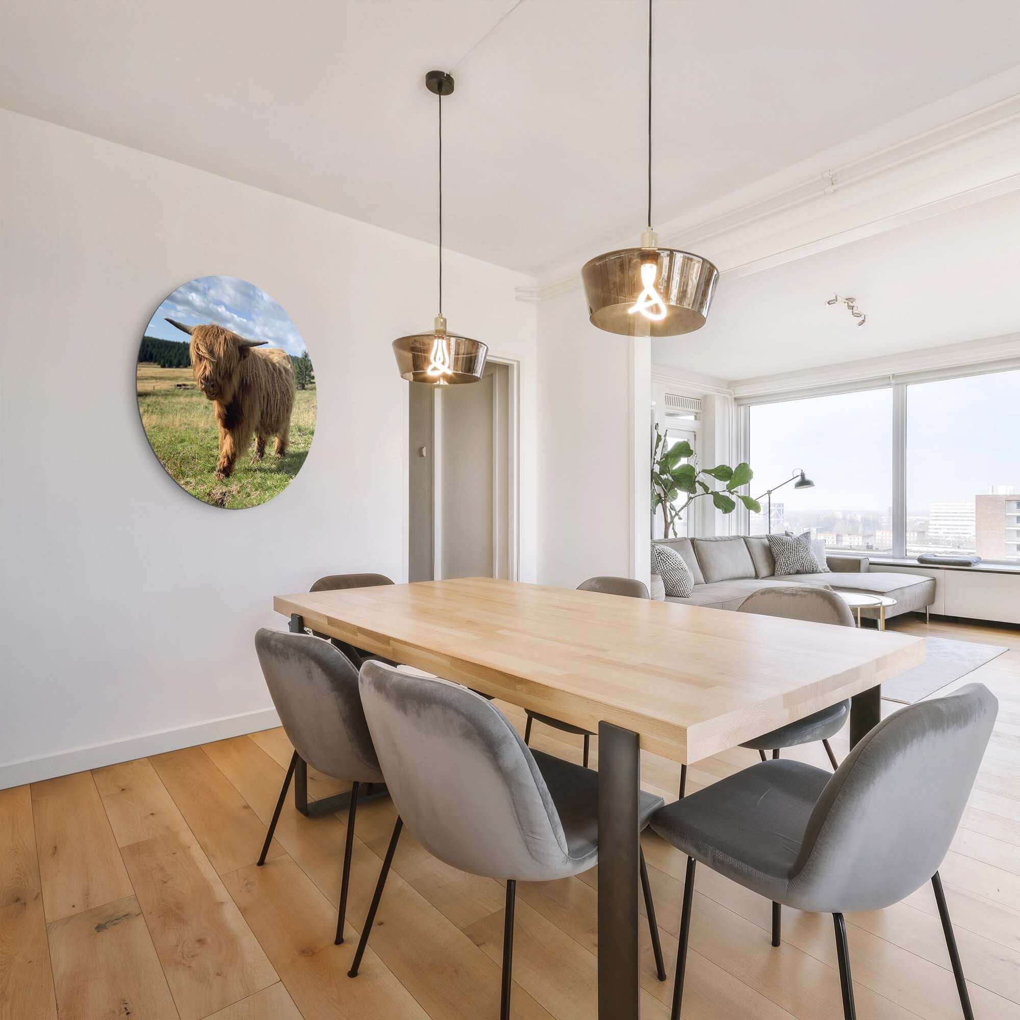 Hooglander in het zonlicht – Muurcirkel