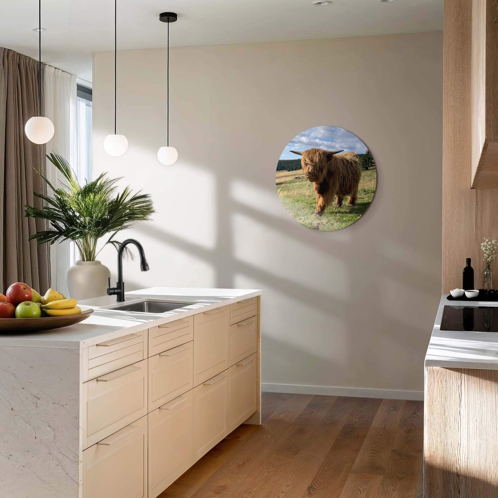 Hooglander in het zonlicht – Muurcirkel in moderne keuken, Schotse hooglander afbeelding, Muurcirkels, duurzaam aluminium dibond