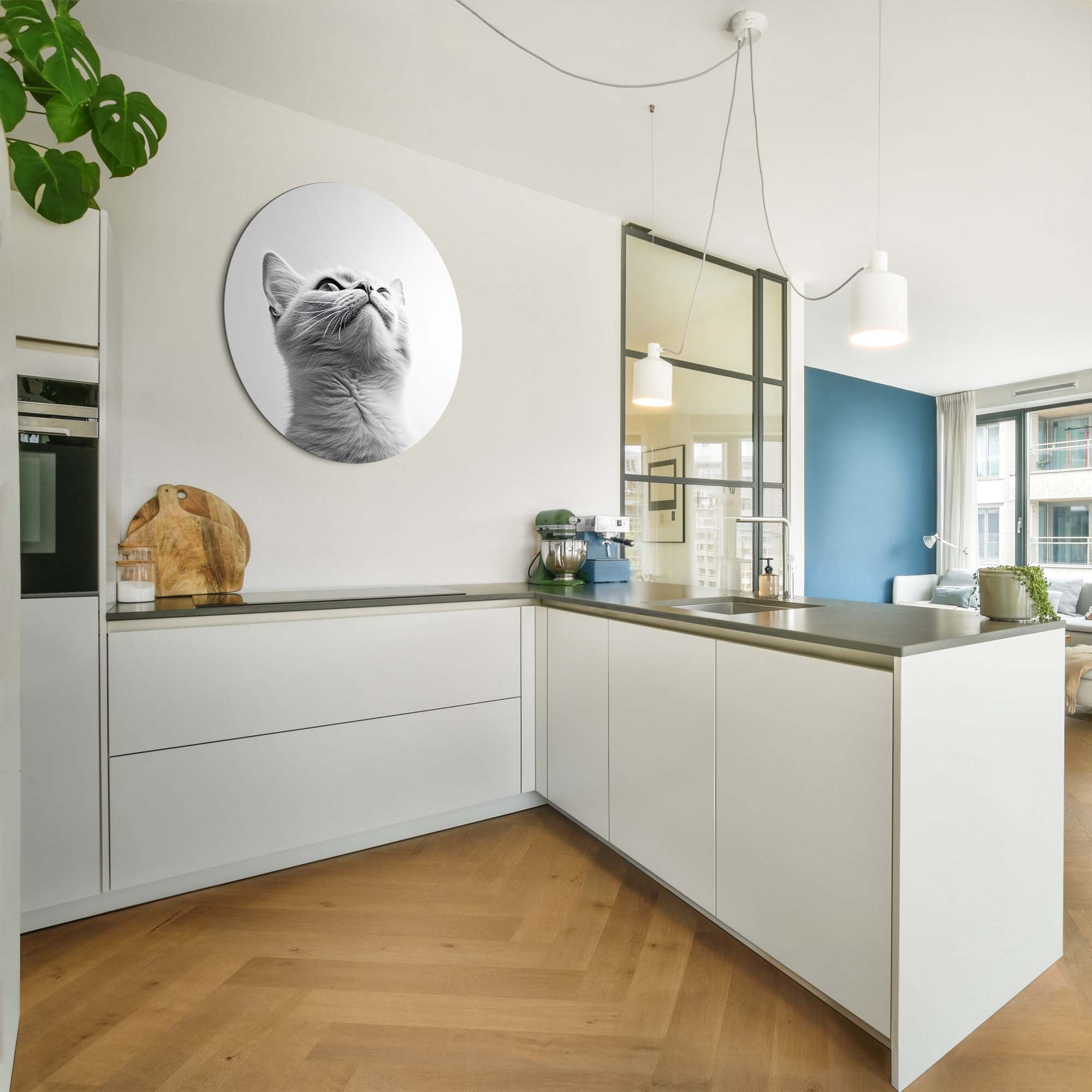 Silver Whisker – Muurcirkel