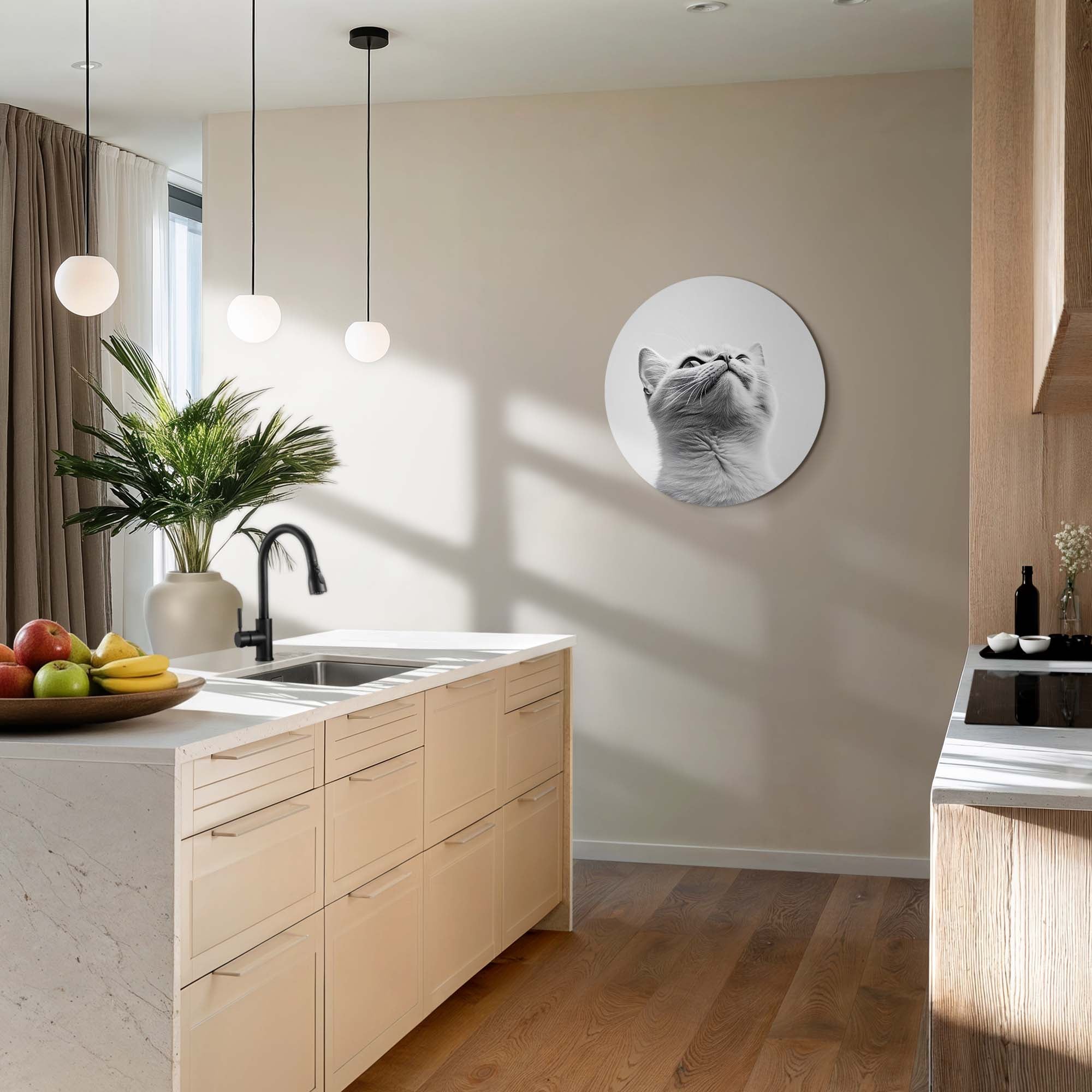 Silver Whisker – Muurcirkel