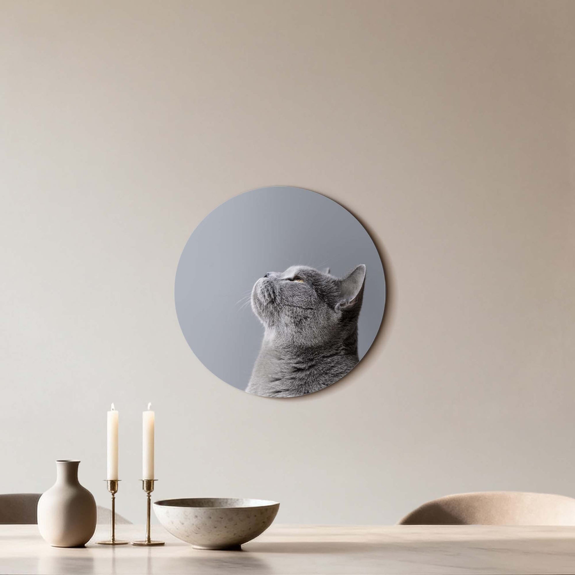 Soft Focus – Muurcirkel van een grijze kat in zachte grijstinten op een muur, Muurcirkels decoratie.