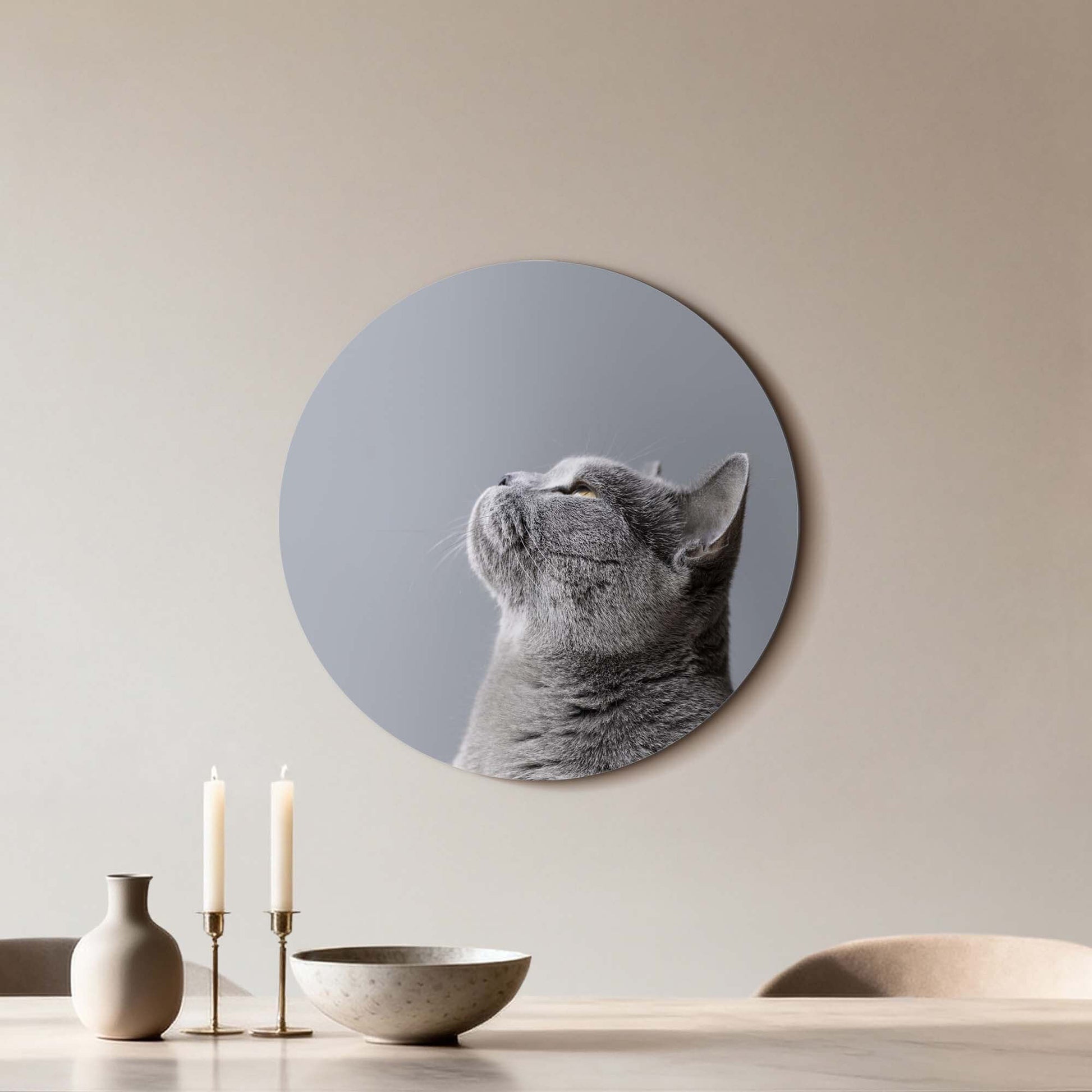 Soft Focus – Muurcirkel van een grijze kat, elegant design, perfect voor subtiele muurcirkels.