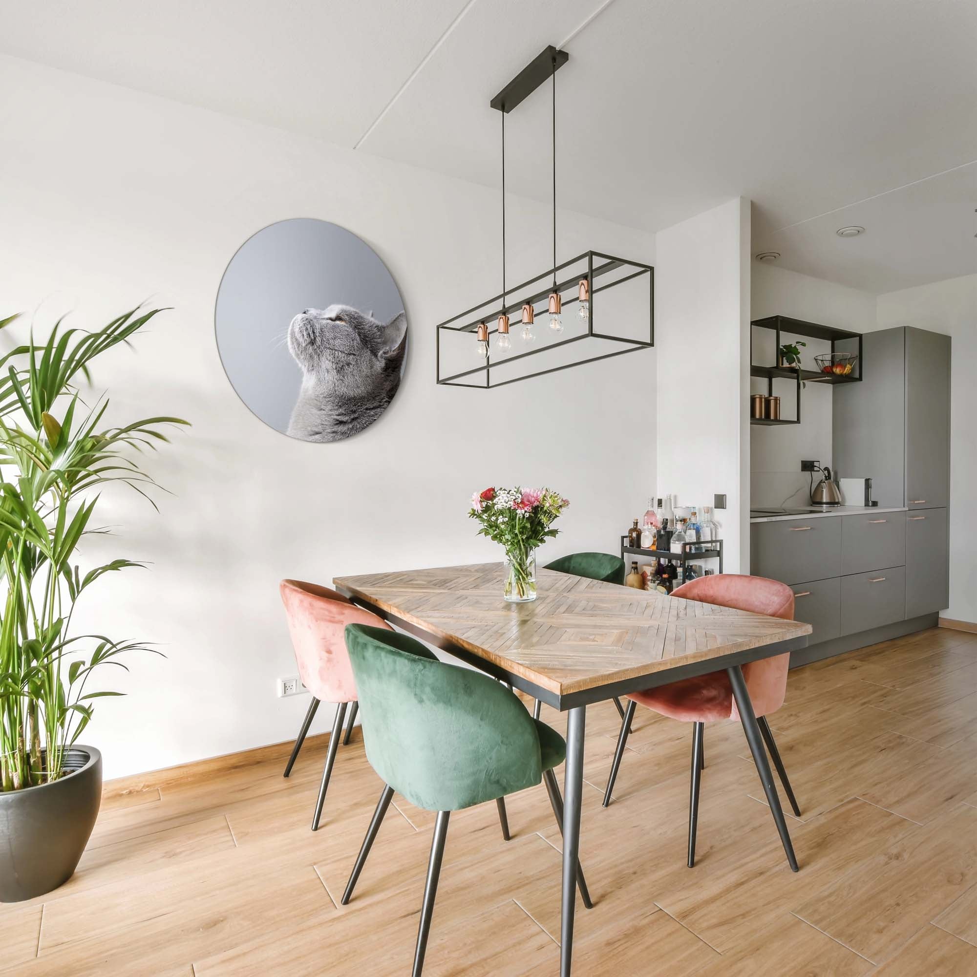 Soft Focus – Muurcirkel