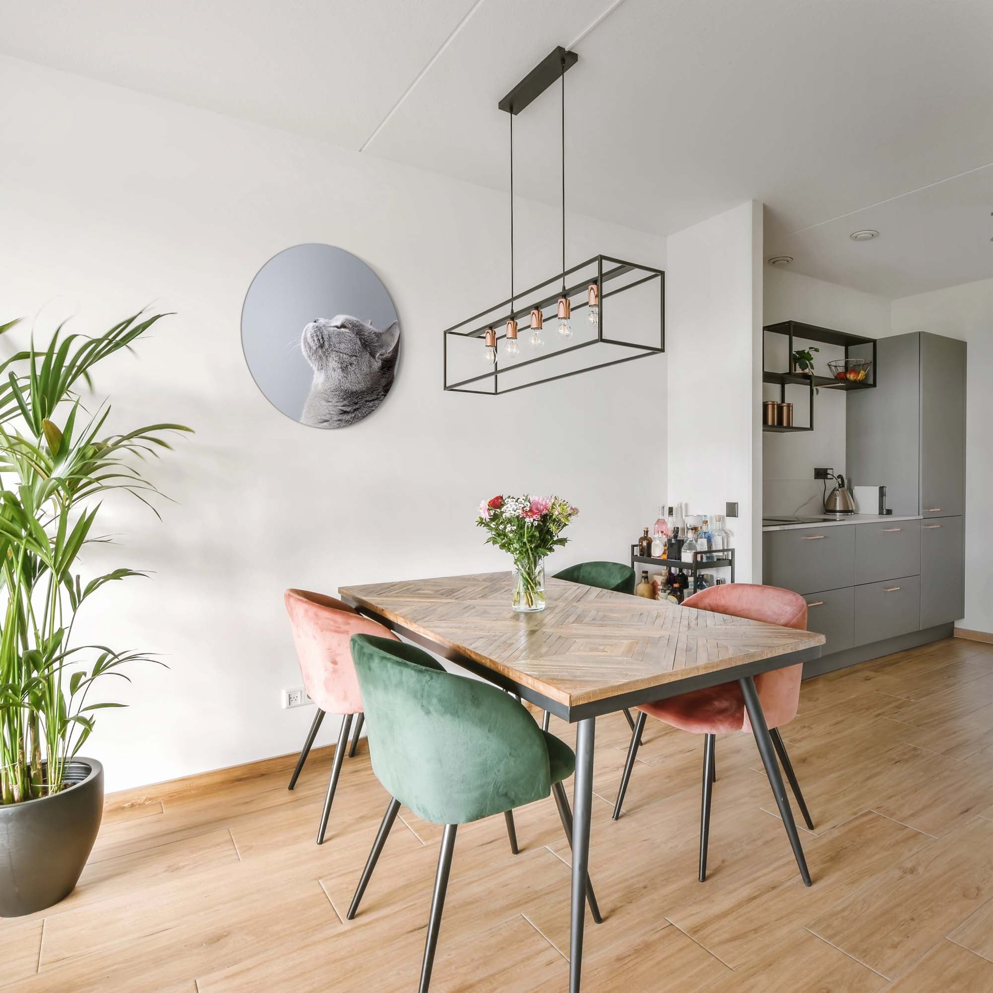 Soft Focus – Muurcirkel