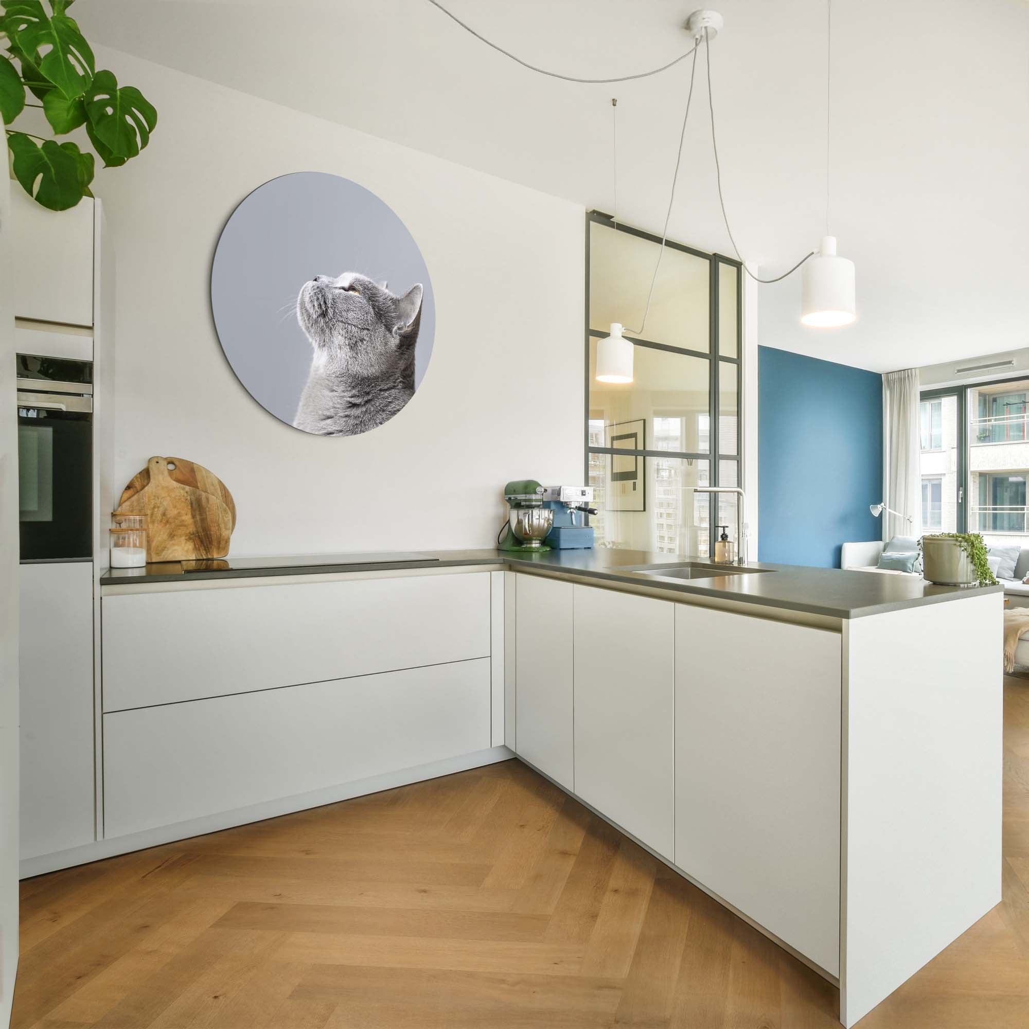 Soft Focus – Muurcirkel