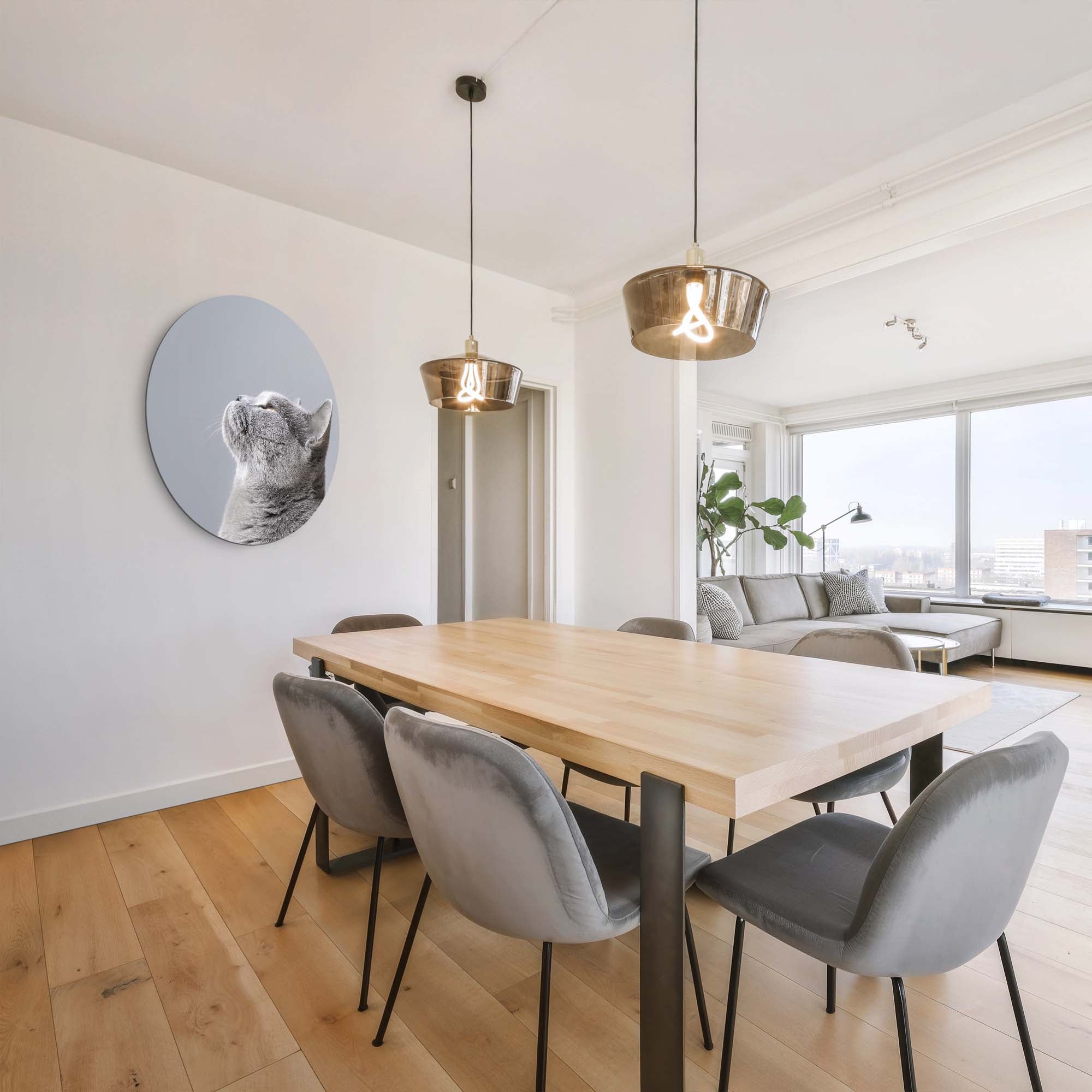 Soft Focus – Muurcirkel