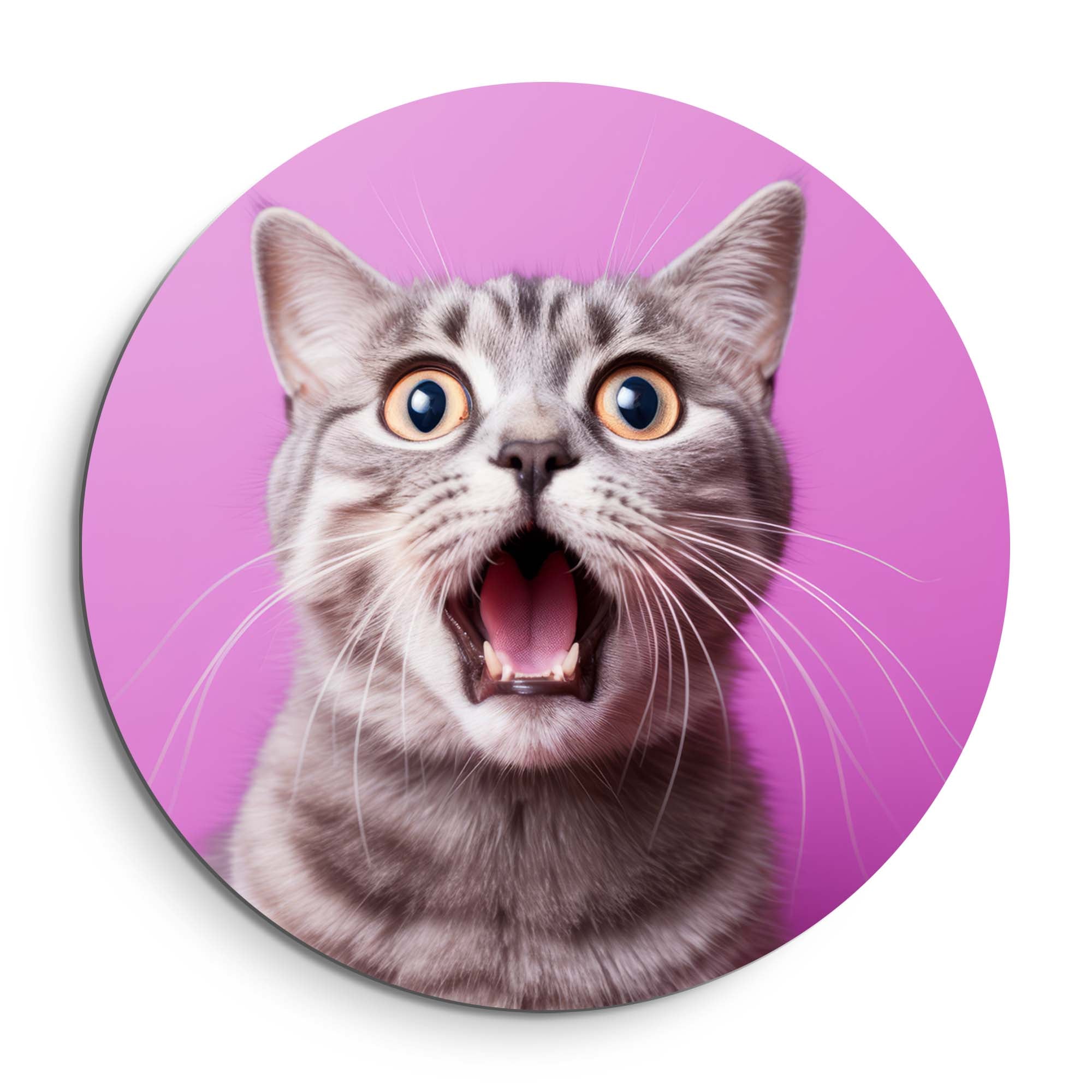 Surprised Whiskers – Muurcirkel