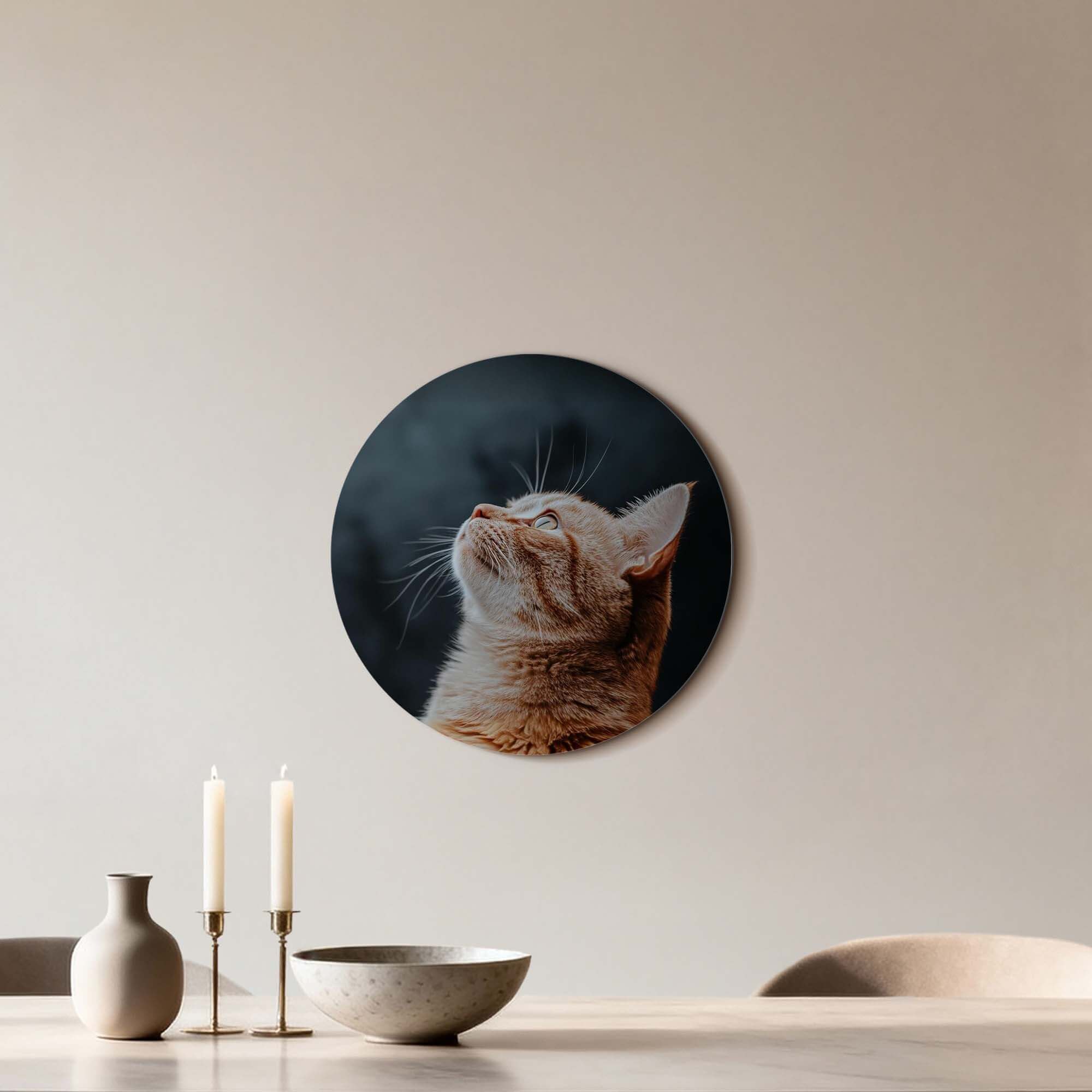 Velvet Gaze – Muurcirkel met een elegante kat op een donkere achtergrond, moderne muurcirkel decoratie.