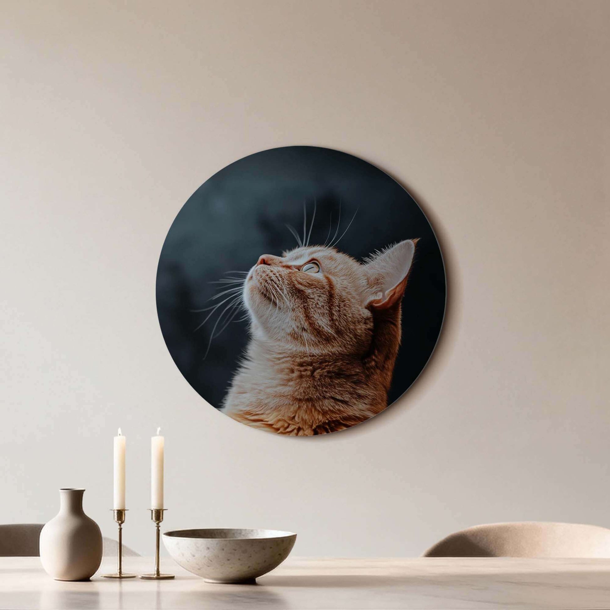 Velvet Gaze – Muurcirkel, een kat op een fluweelzachte donkere achtergrond, stijlvolle muurcirkel.