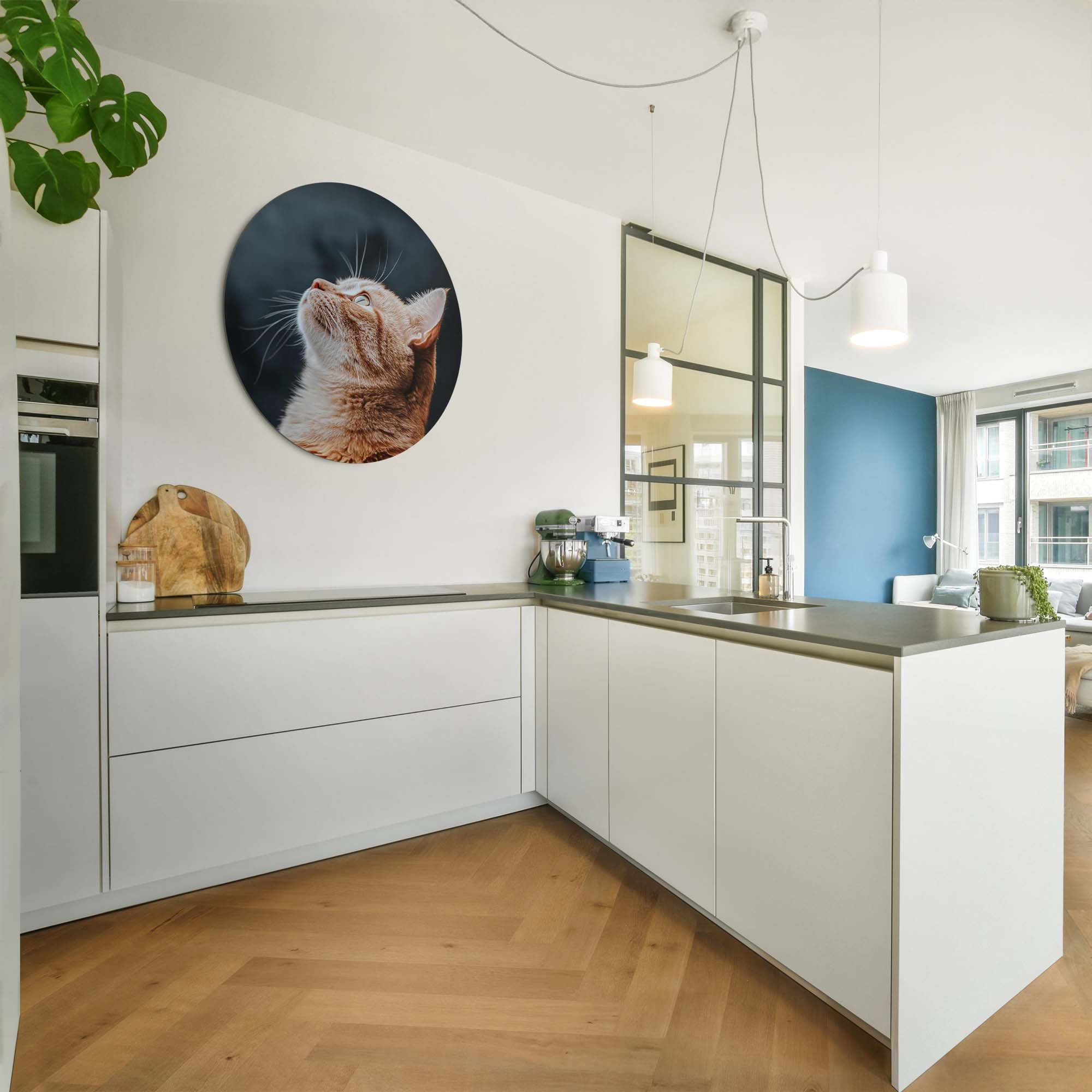 Velvet Gaze – Muurcirkel