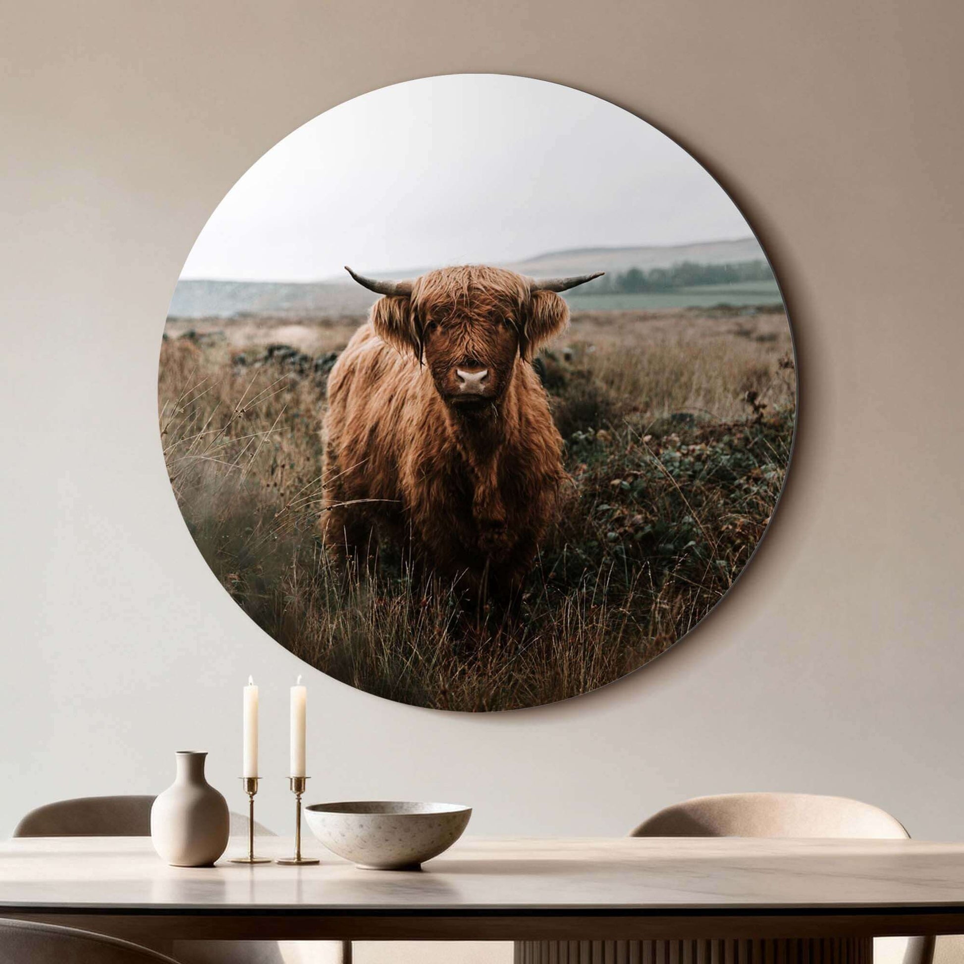 "Hooglander in de herfstweide – Muurcirkel" met Schotse hooglander in natuur, geschikt voor keuken of woonkamer, op aluminium dibond.