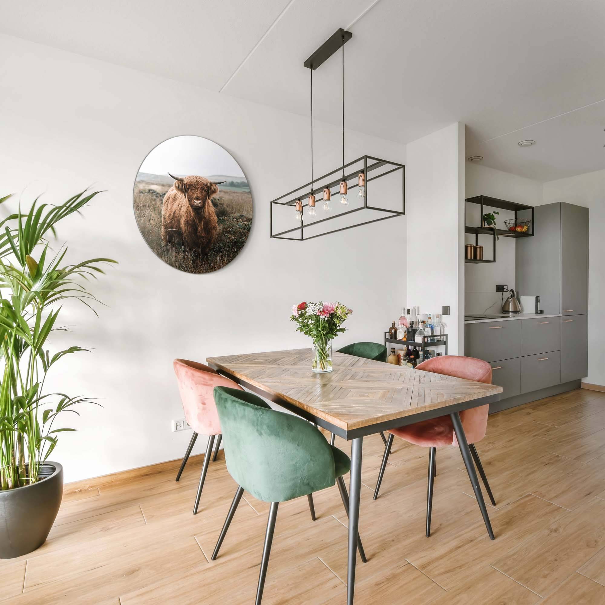 Hooglander in de herfstweide – Muurcirkel