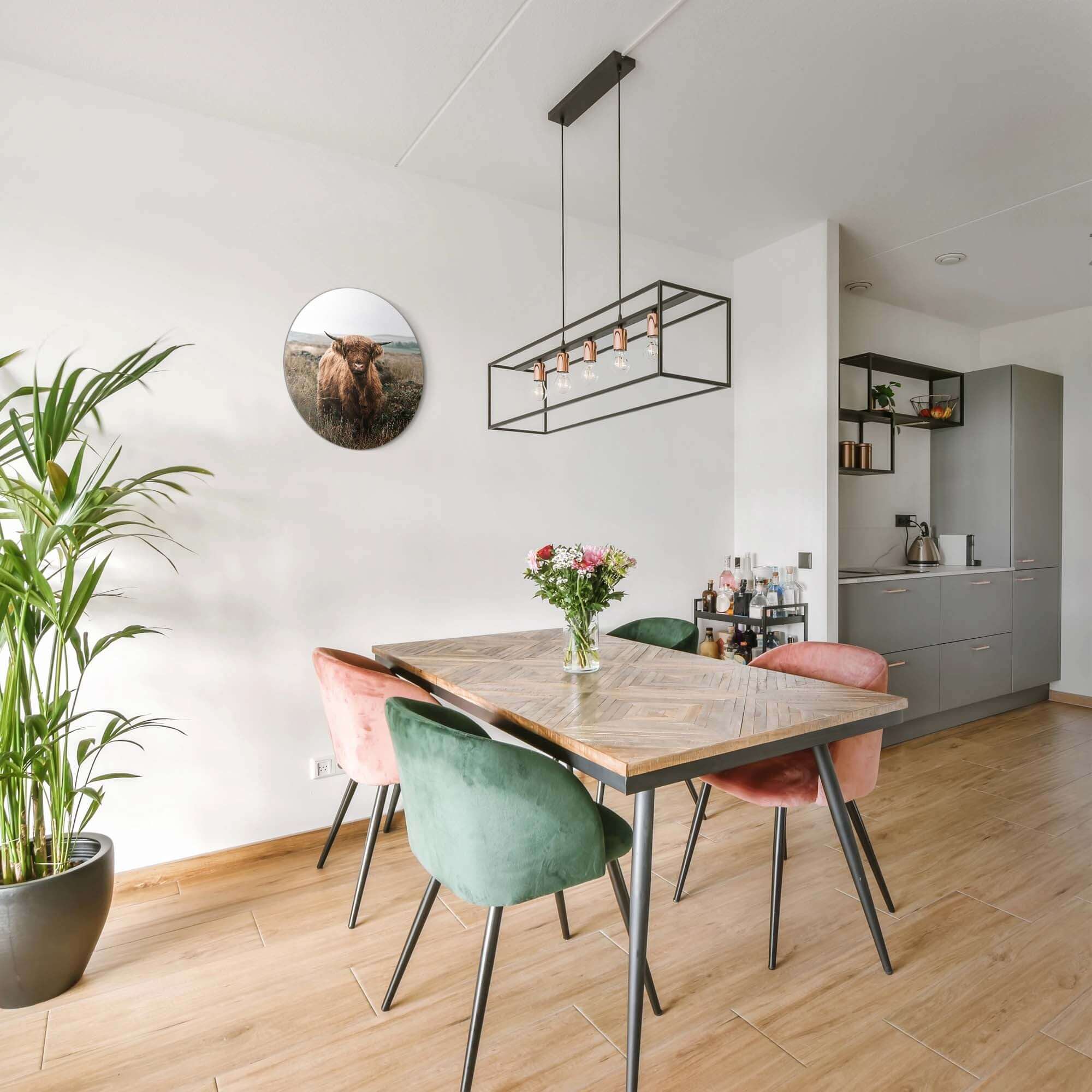 Hooglander in de herfstweide – Muurcirkel