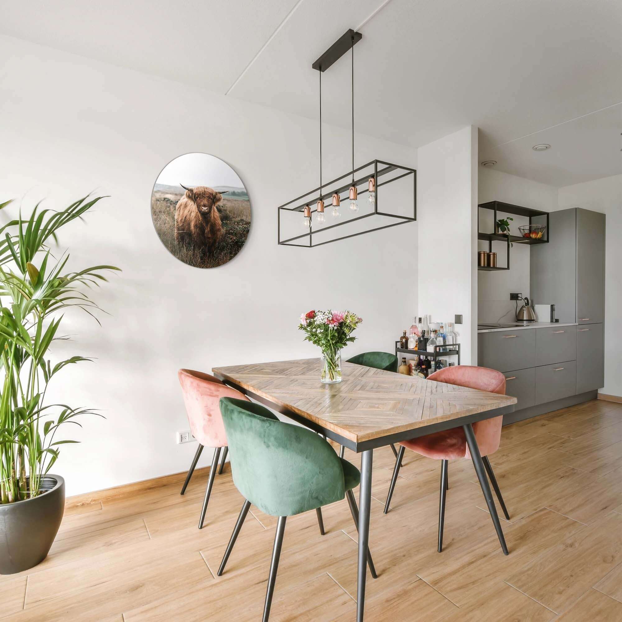 Hooglander in de herfstweide – Muurcirkel