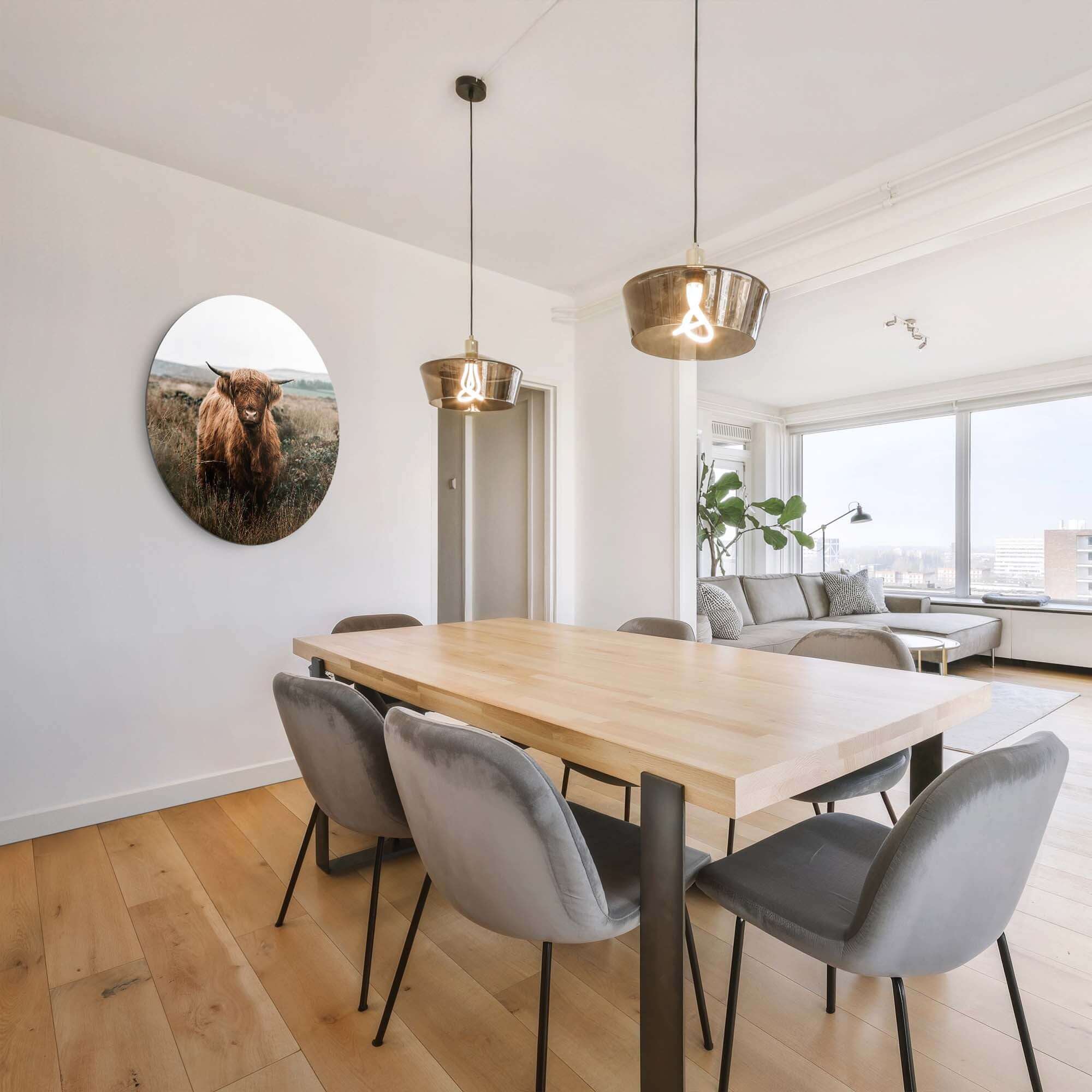 Hooglander in de herfstweide – Muurcirkel