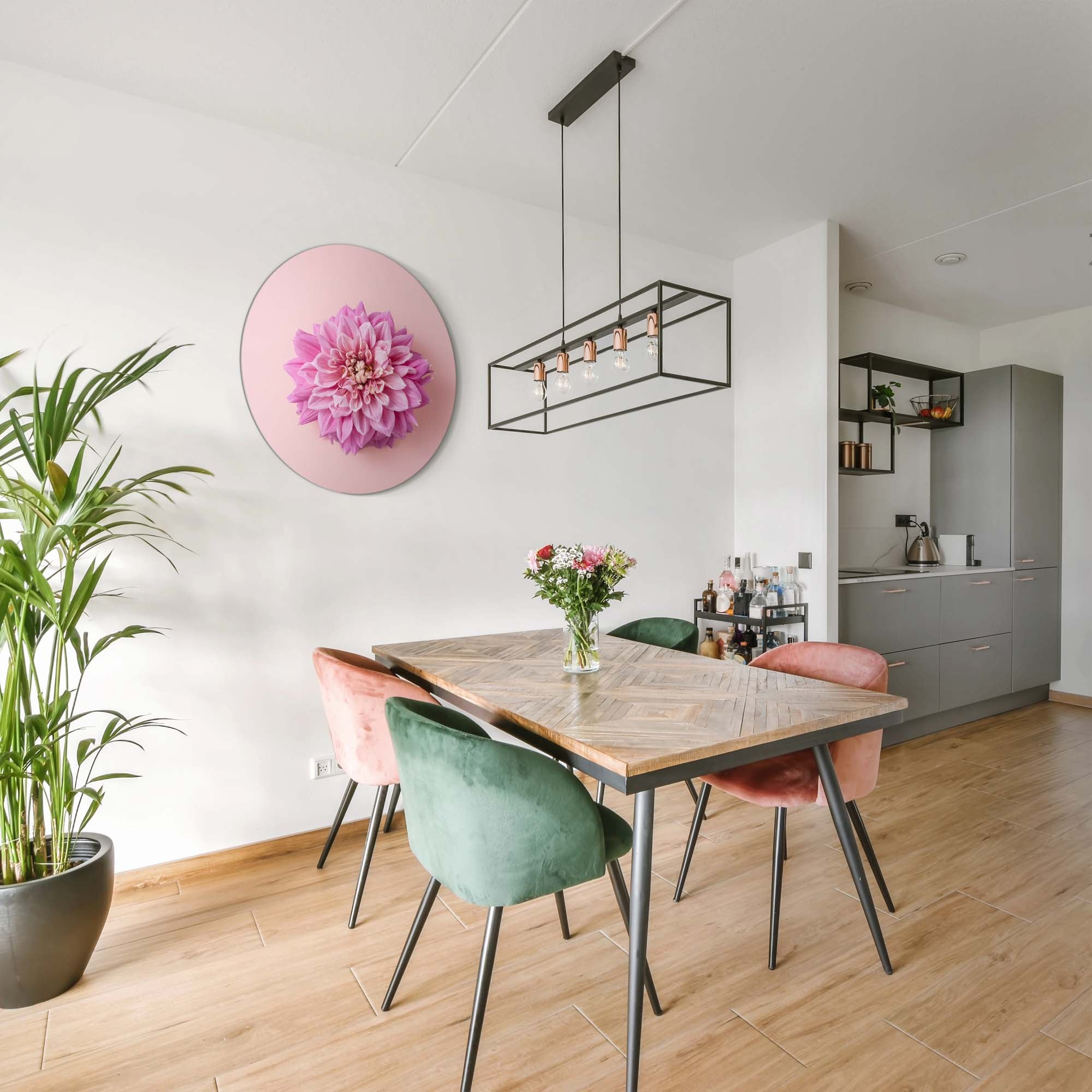 Zachte Dahlia – Muurcirkel