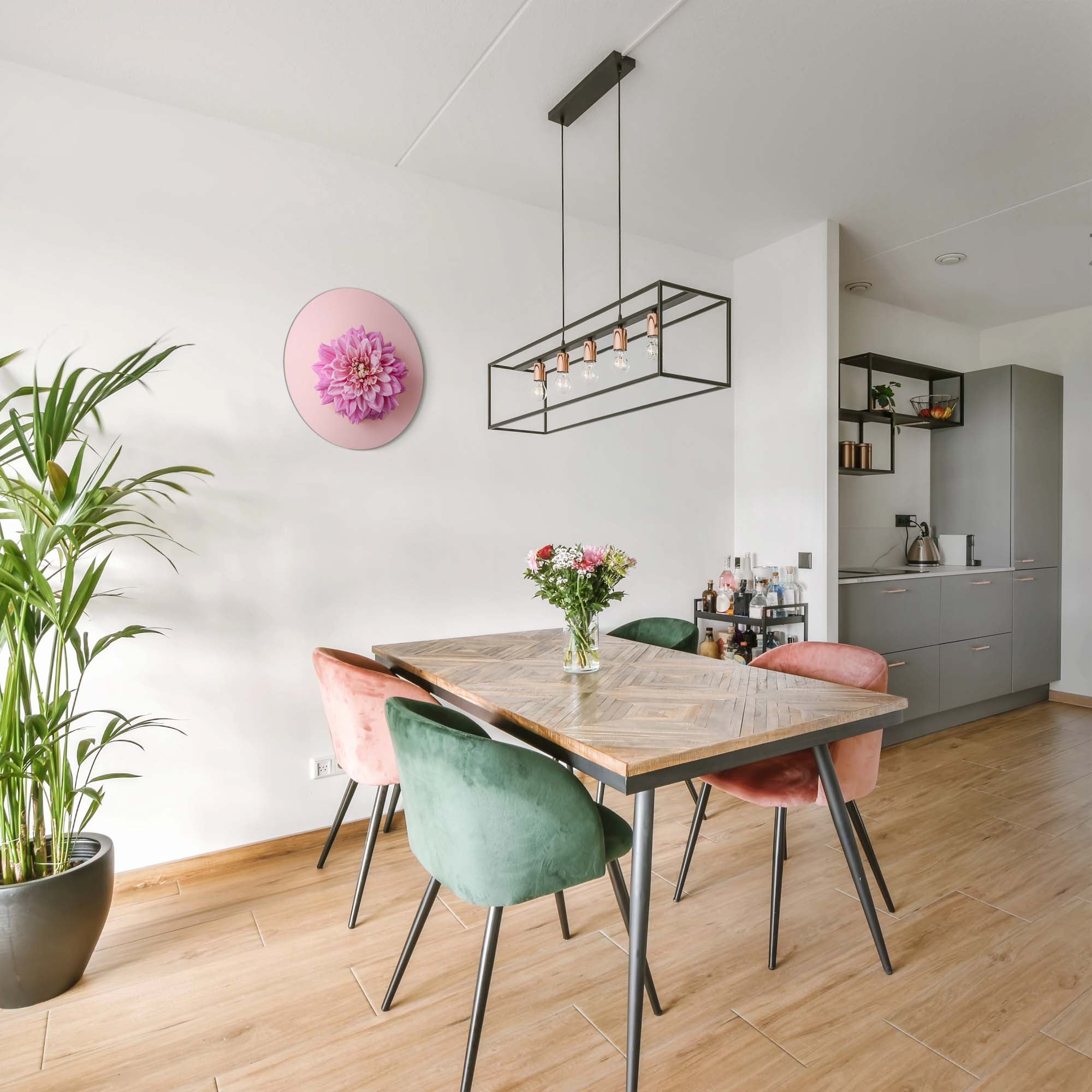 Zachte Dahlia – Muurcirkel