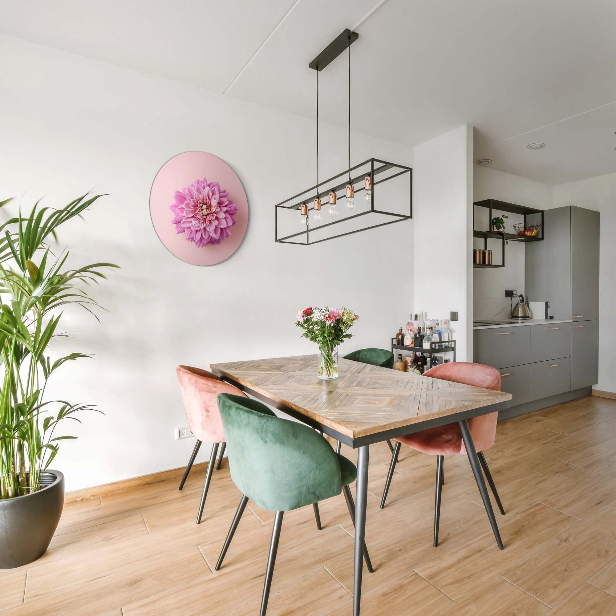 Zachte Dahlia – Muurcirkel