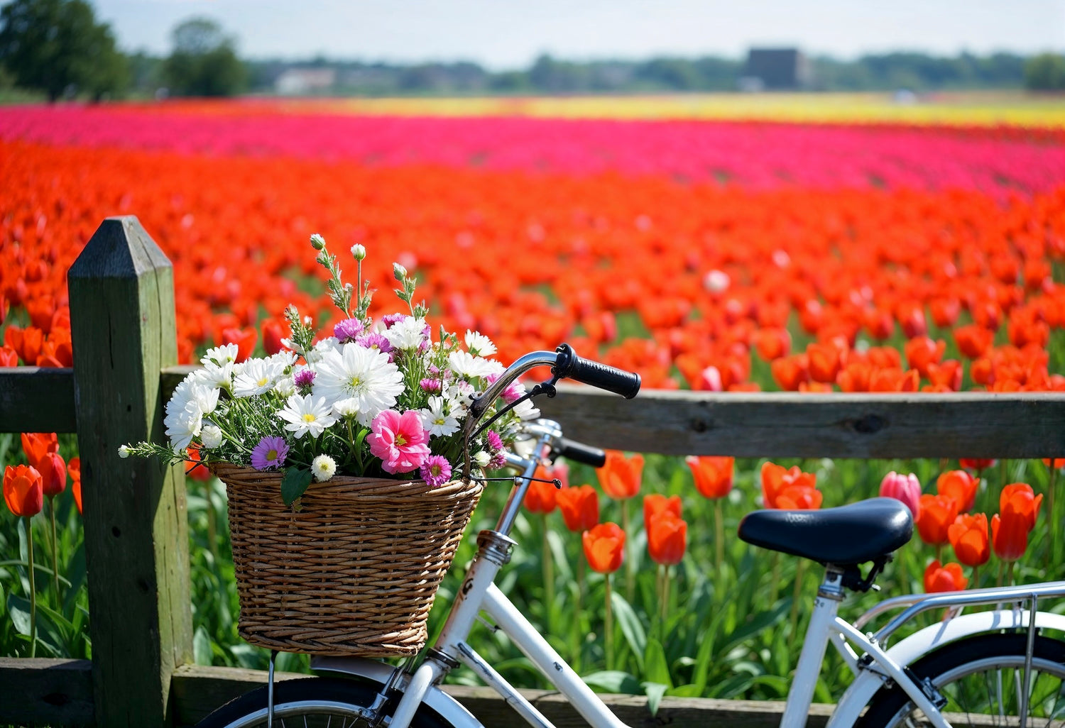Spring Ride - Inductie Beschermer met lentefiets illustratie, een frisse, vrolijke toevoeging aan je keukenblad