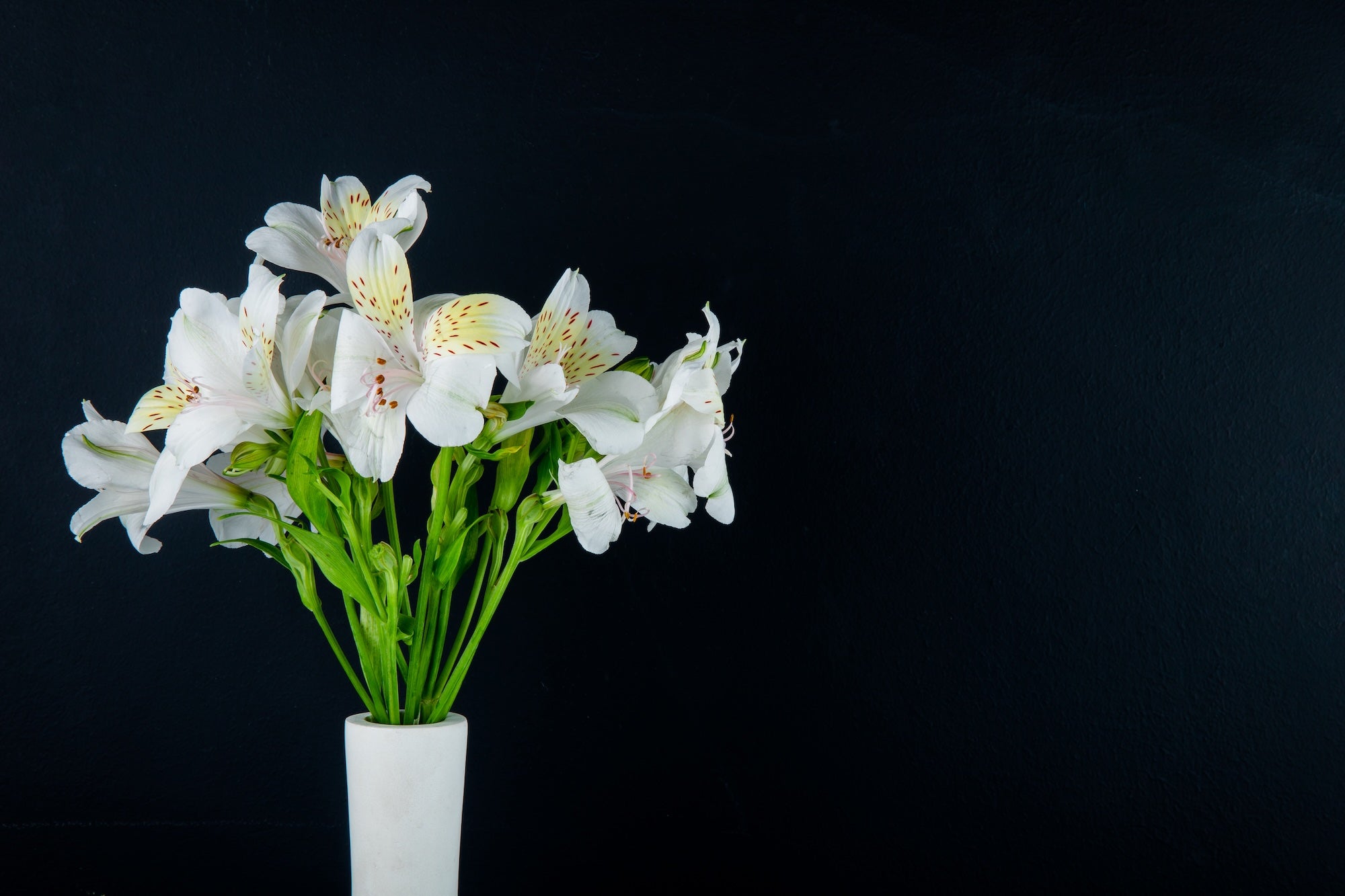 White Whisper - Inductie Beschermer met witte structuur voor een minimalistische uitstraling en hygi√´nische afwerking